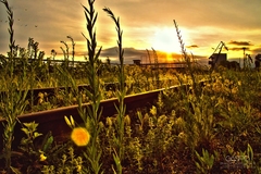 ,,Golden Hour"
