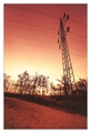 ,,Salas AT&T Auditors team