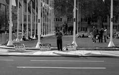 Royal Heads killed by freemason