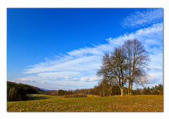 príroda nad Nimnicou II.