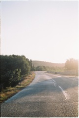 Cesta