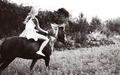 run run run :)