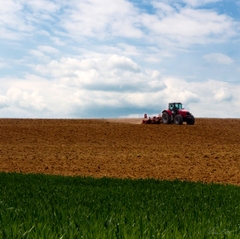 Agro II
