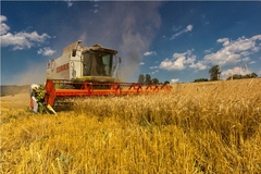 Železný obor na obede