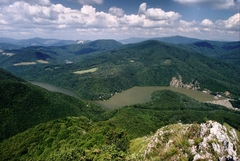 Spomienka na leto...