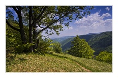 Jar na Folkmárskej skale