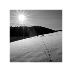 Zimná krajina