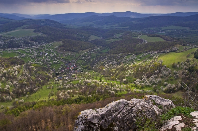 Brdárka