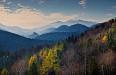 Jeseň pod Kráľovou hoľou