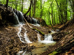 Bolešovské vodopády