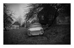 Smutná kôpka bavlny