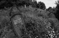 Zabudnutý cintorín
