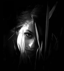 Lucy In The Shadow