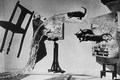 Philippe Halsman - tak trochu blázon