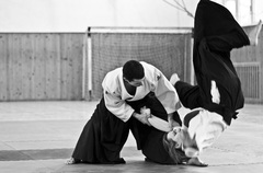 Aikido - technika sumi otoshi