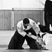 Aikido - technika sumi otoshi