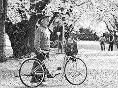 Seishiro Endo v Sakury parku