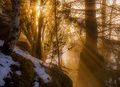 Prve luce
