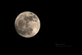 Moon 2012