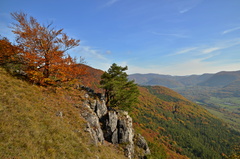 Vo farbách jesene II.