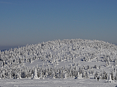 Osamelý bežec