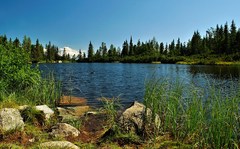 Jamské pleso