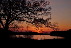 Západovka