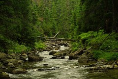 Mengusovská dolina