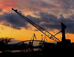 Roboti z prístavu