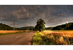 Cestou do obce Borinka