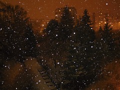 Večerné prekvapenie