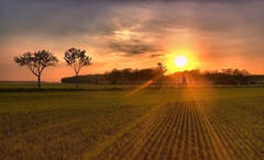 Kam chodí slnko pávať