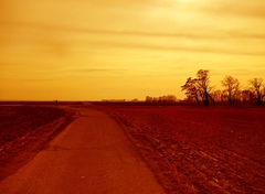 Pozemský mars