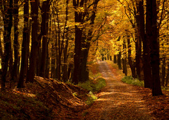 Tiché cesty v Karpatoch