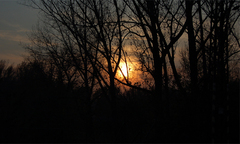 Jesen_2011_pic4