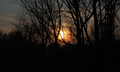 Jesen_2011_pic4