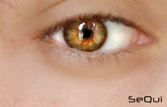 eye