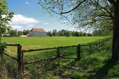 Statok
