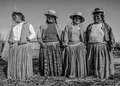 Cuatro De Titicaca Uros