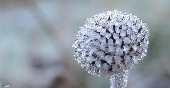- 11