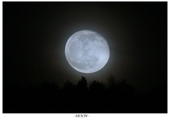 Moon...