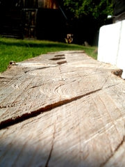 Bench