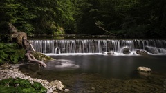 Malofatranská džungľa