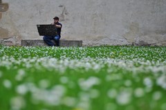 Bez nazvu