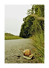 Ešte je to ďaleko ???