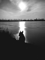 Dark world