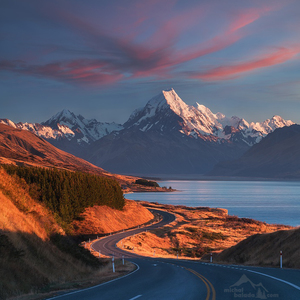 ... NEW ZEALAND ...