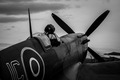 Spitfire