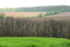 príroda ožívá