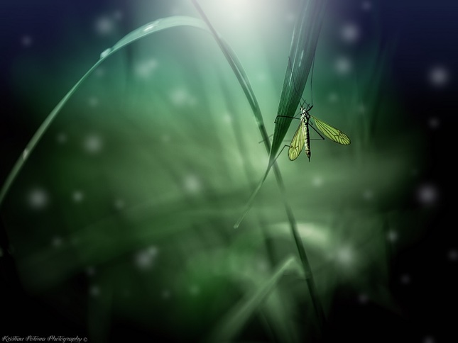 Pripravený na noc ...